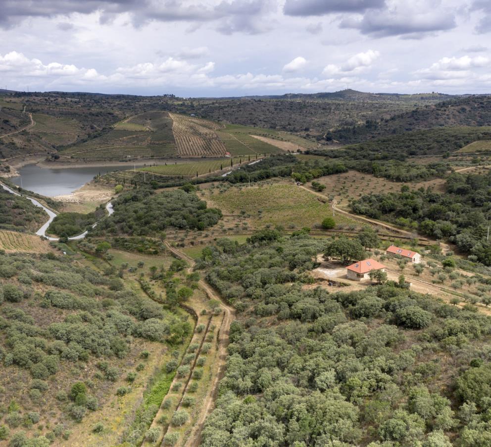 Quinta da Vineadouro - Hotel Familjar për Vreshta dhe Verë